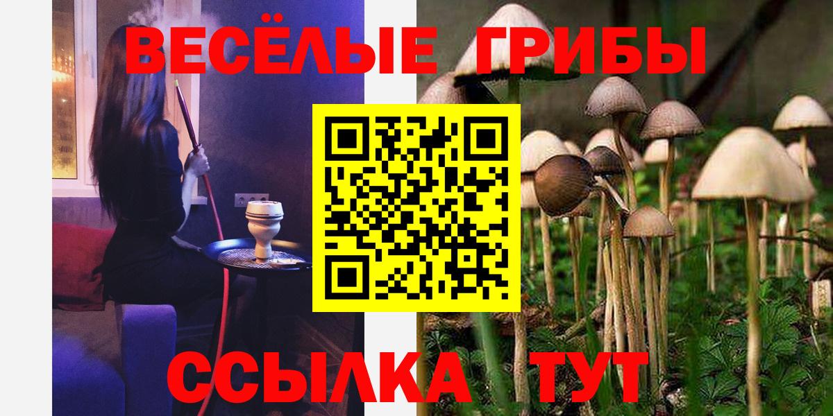 Новодвинск  Галлюциногенные грибы ЛСД  Вход с VPN 